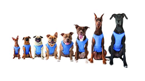 GF Pet Elasto-Fit Ice Vest - Blue (size: 2XL)