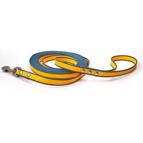 Durable material New style two-color training rope Tangle-free Soft on pet 4.92FT Obedience training Daily walk training Park training  Evening/e (Color: Orange-blue, size: 5M)
